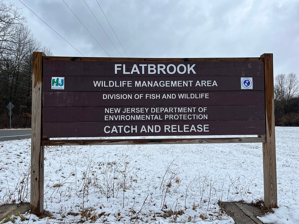 Fly fishing for trout in New Jersey