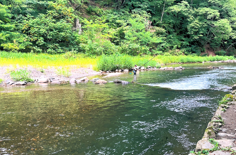 the local angling scene