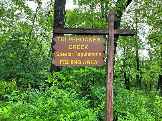 e Luks、TROUT FISHERMEN,BERK HILLS Tulpehocken Creek trout fishing