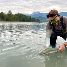 Fishing for pink salmon in British Columbia