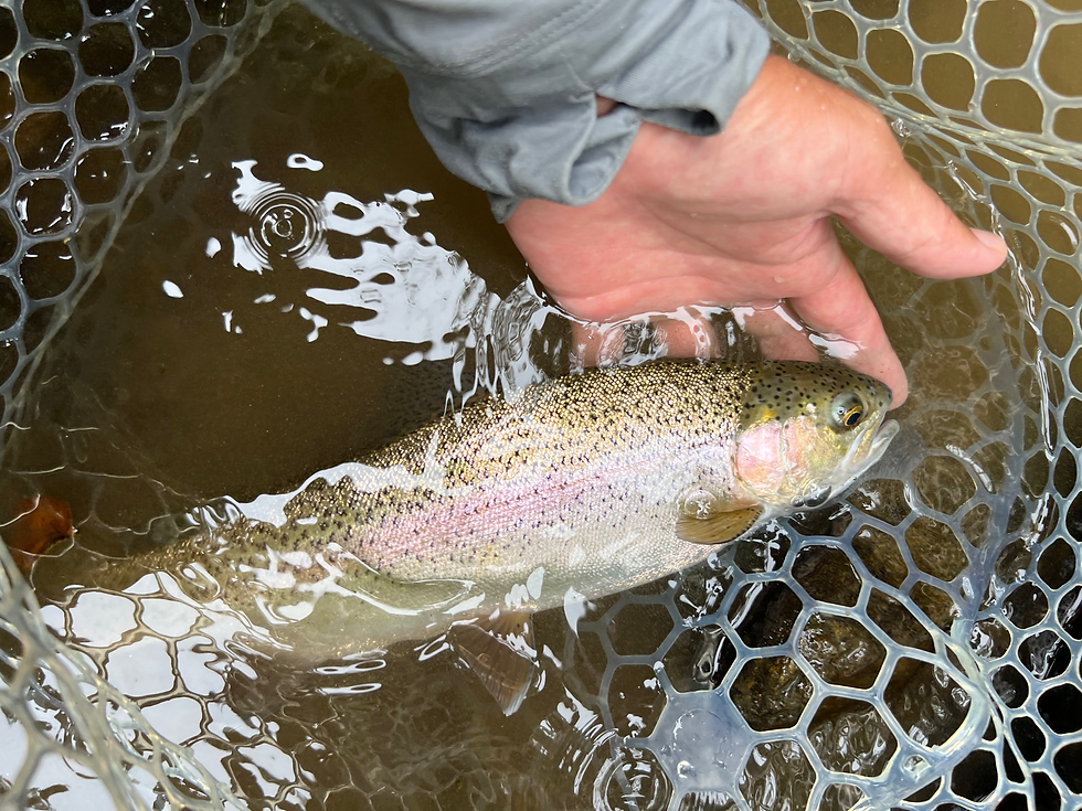 keeping the fish wet for the trophy shot