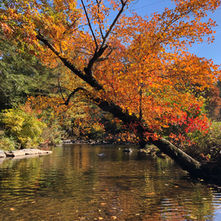 Planning your fall fly fishing trip