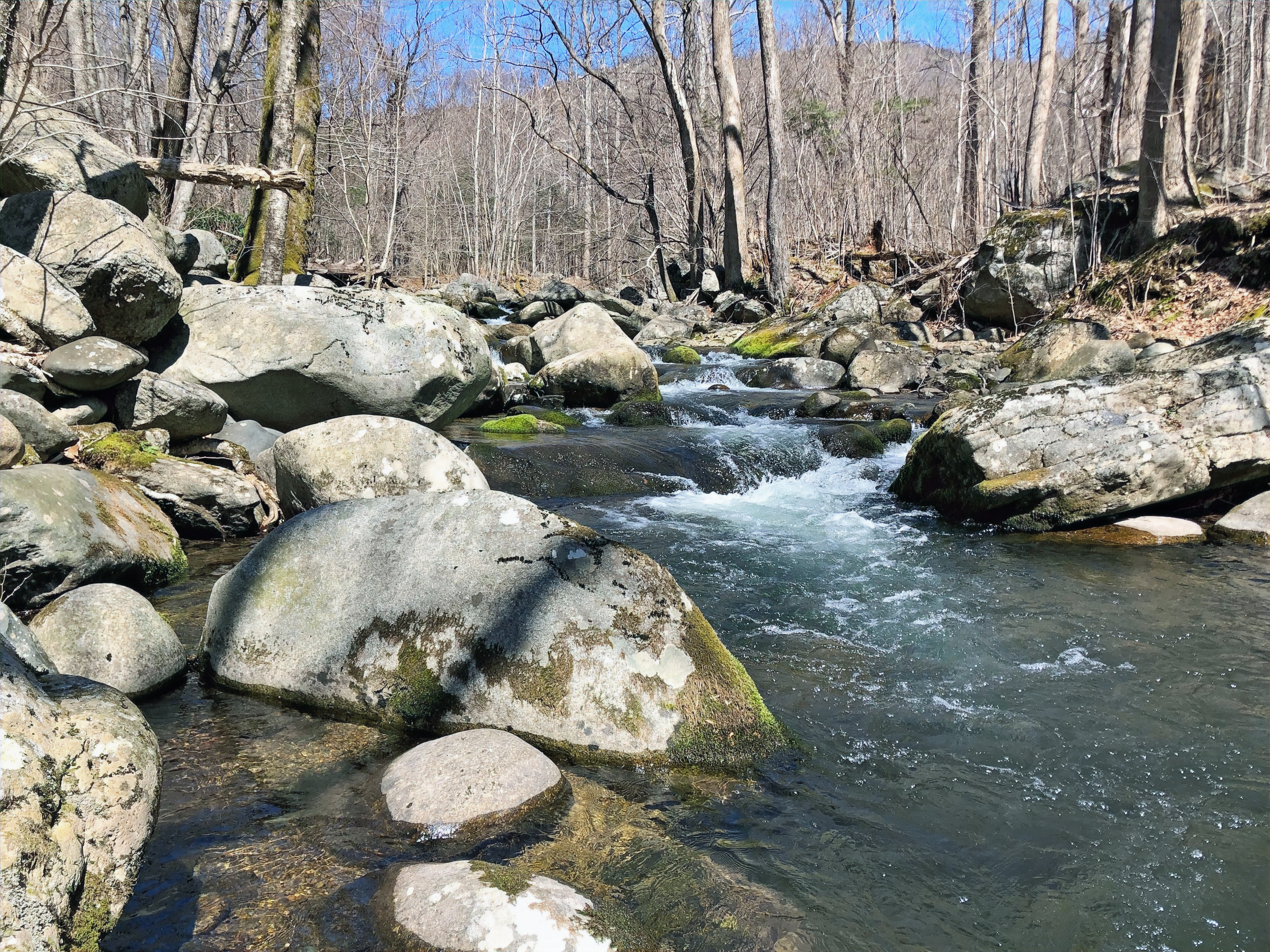 A favorite pool on the Rapidan River showing pristine mountain stream with clear water and forest surroundings