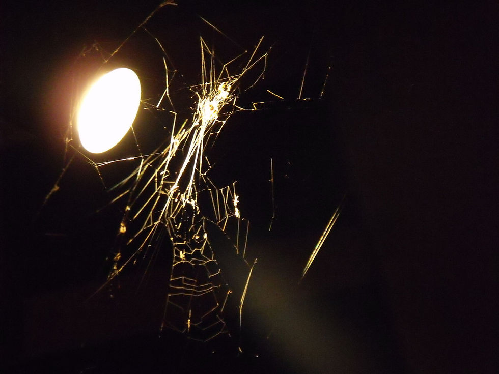 Web