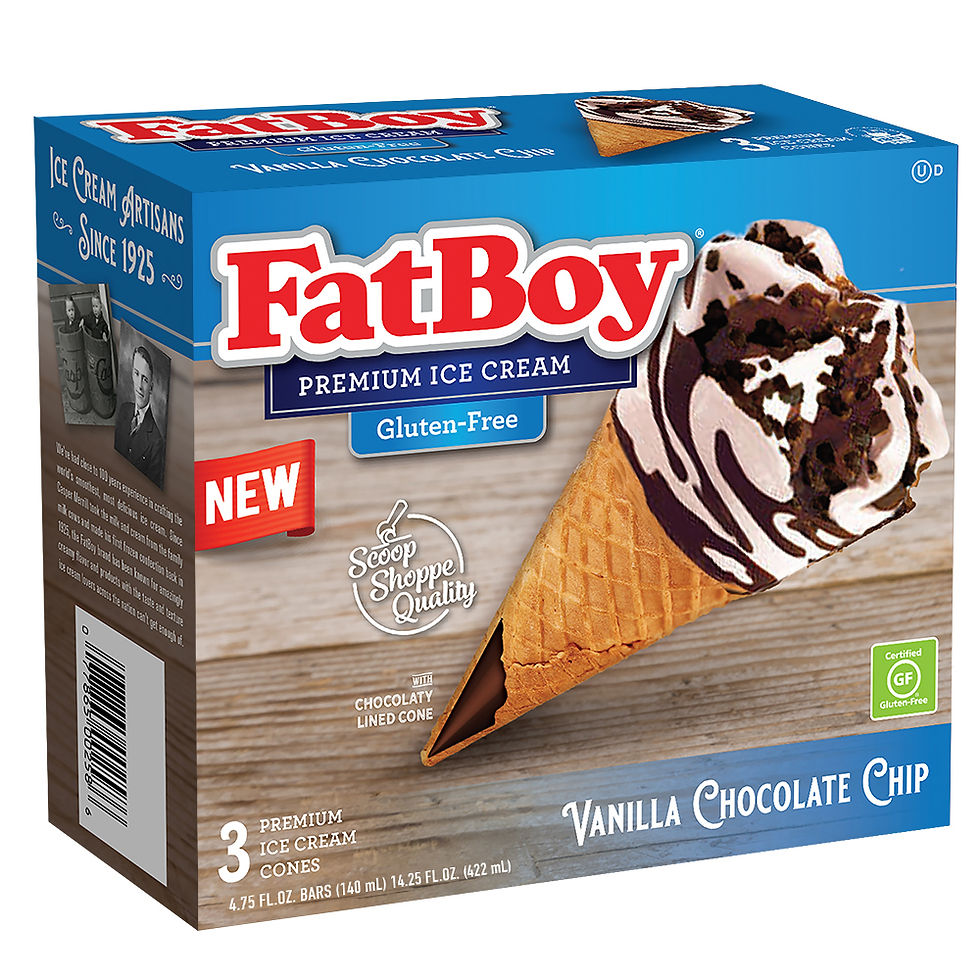 Gluten free vanilla chocolate chip Fatboy ice cream cone