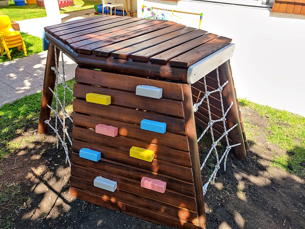 Miniatura: Trepador hexagonal