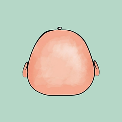 Braquicefalia.png