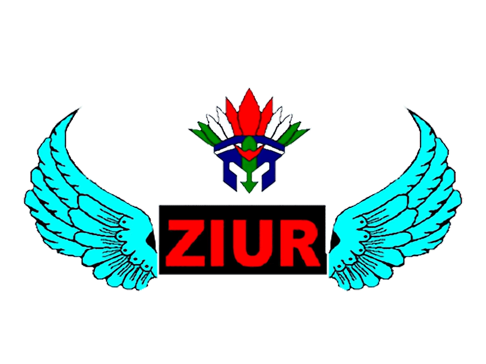 Ziur Logo Gif Improvised.gif