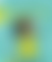 Analyzing Children's Books: Layla's Happiness