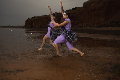 dhuggudja birds on the beach.jpg