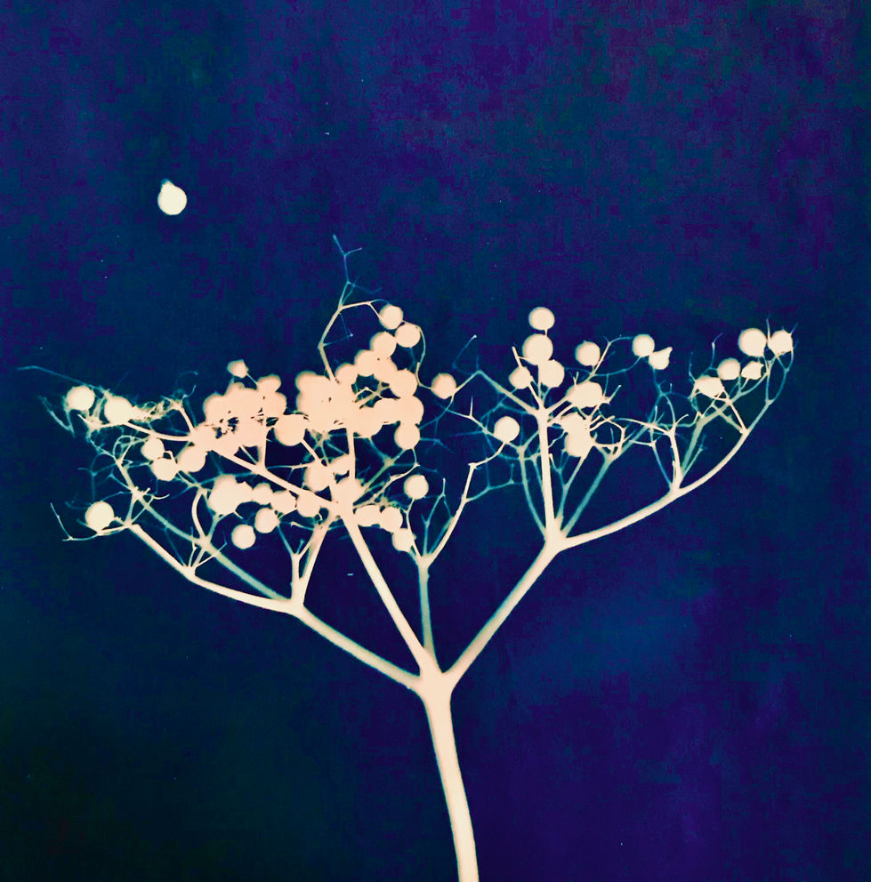 Mother Huldas´s snowball fight