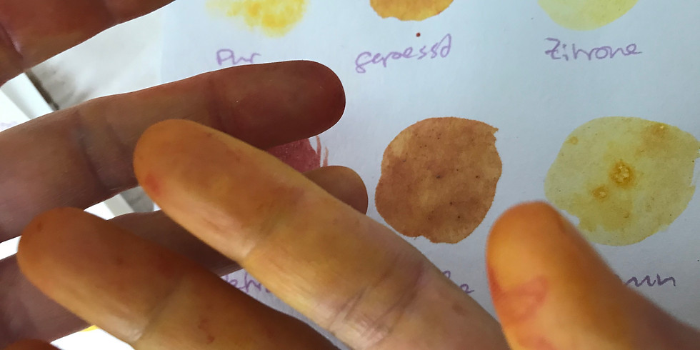 Naturfarben Workshop für Kinder