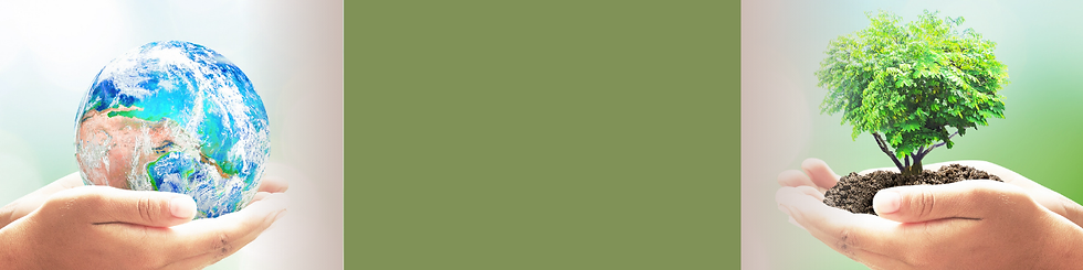 Board of Directors Banner.png