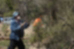 Clearing Cedars