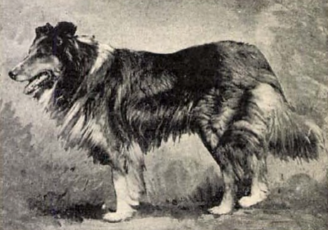 1900.png