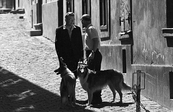 1971 collie székesfehérvár 1971 fortepan_193431 wds.jpg