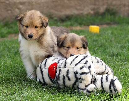 525560395_10232360546657404_2101561525930533006_n_edited_edited.jpg