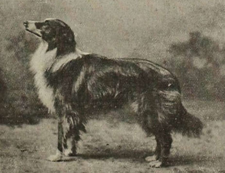 rob roy 1901_edited_edited.jpg