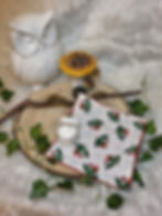 Mini Box Secret Santa avec lingette serviette et mini chantilly