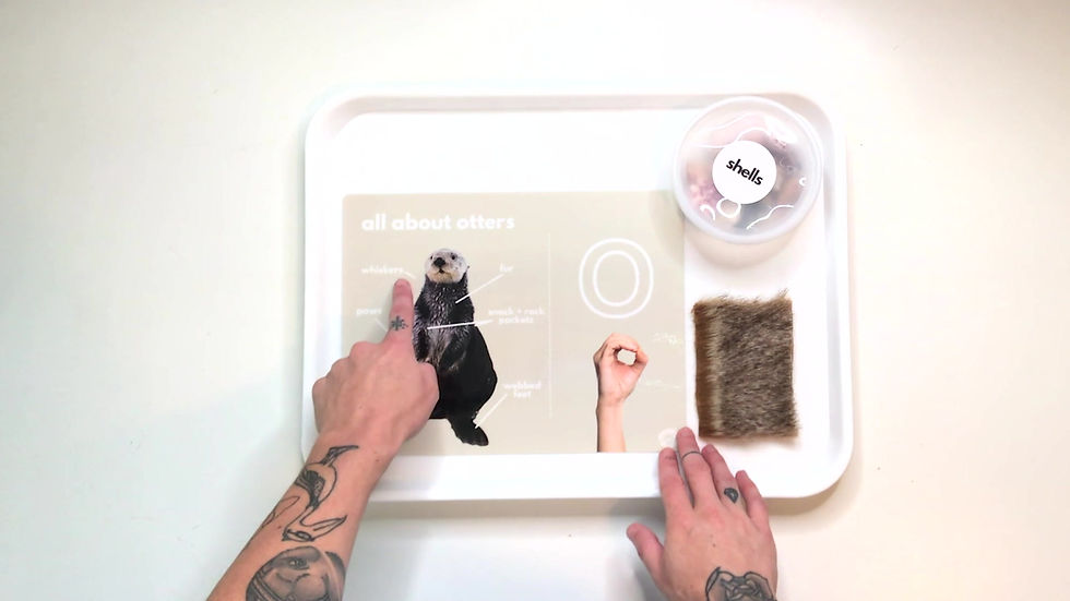 Thumbnail: All About Otters Play Set