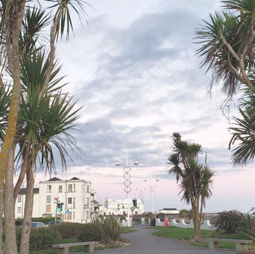 beautiful palms near academy