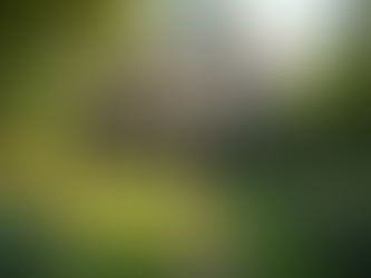 Secure Your Future with Mortgage Protection Plans