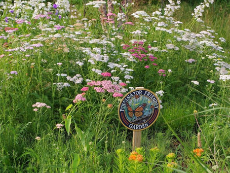 Combating Weeds in Your Garden Without Herbicides