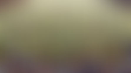 De ideale omvang voor teams