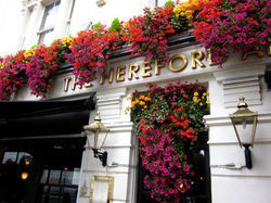 The Hereford Arms