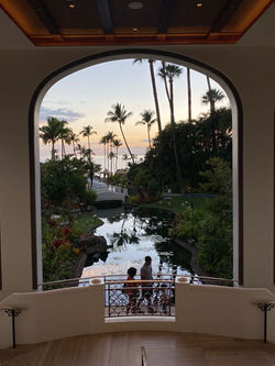 paradise