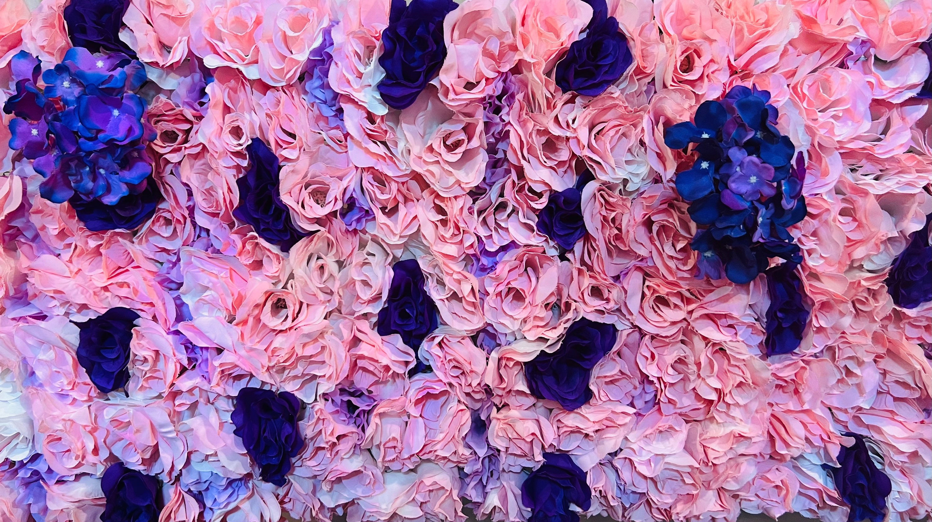 Pink, Purple, & Lavendar