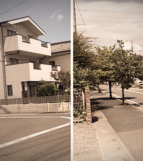 街路樹_edited.jpg