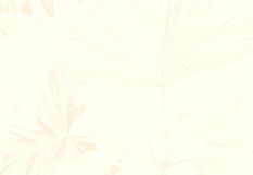 Leaf Pattern Design_edited_edited_edited.jpg