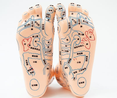 linecamera_shareimage (24).jpg