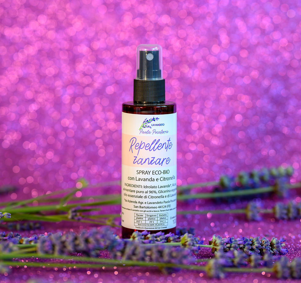 Repellente zanzare spray