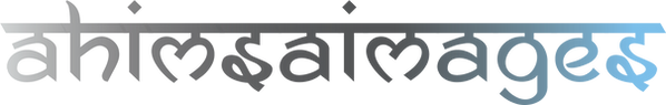 Mainlogo.png