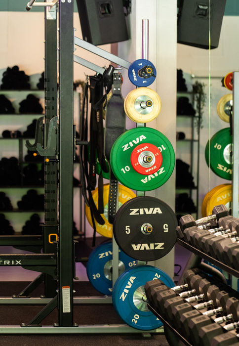 Gewichten en trainingsmateriaal in de gym van Healthy Lion Eindhoven