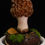 縮圖：Handcrafted Sculptuarl Mushroom Lamp - MORCELLA 