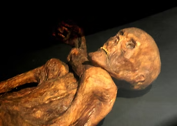 Mummified body on display in a dim setting, with a somber mood. The mummy's textured, brown skin is highlighted under soft lighting.