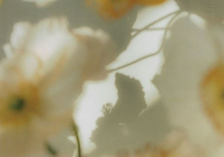 Unknown-92_edited.jpg