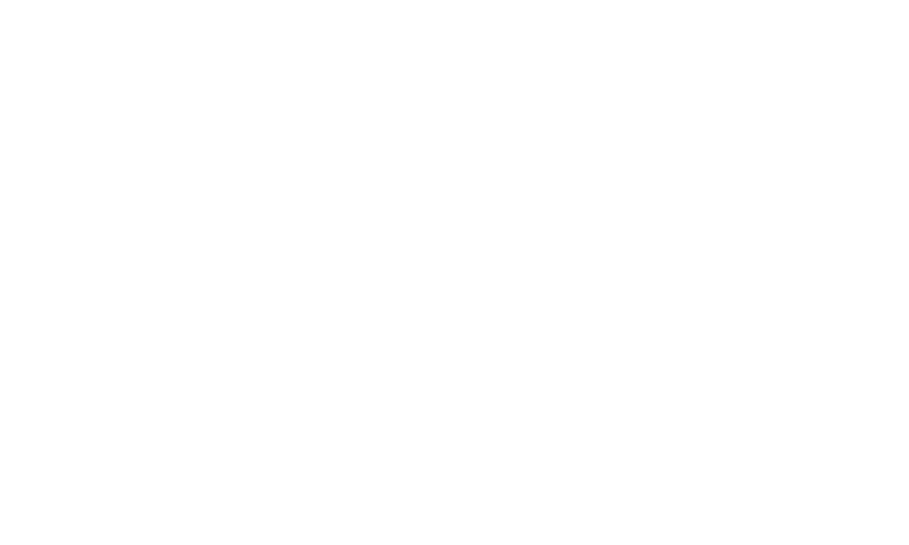 white_logo_transparent_background.png
