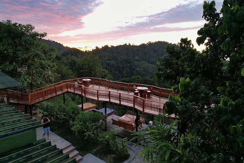 Miniatura: Tour sierra minca degustar el chocolate 🍫  y el café mascarilla de cacao 🤤 
