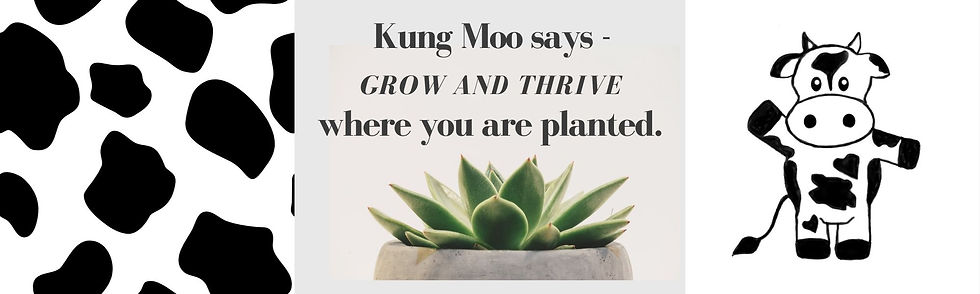 The Wisdom of Kung Moo