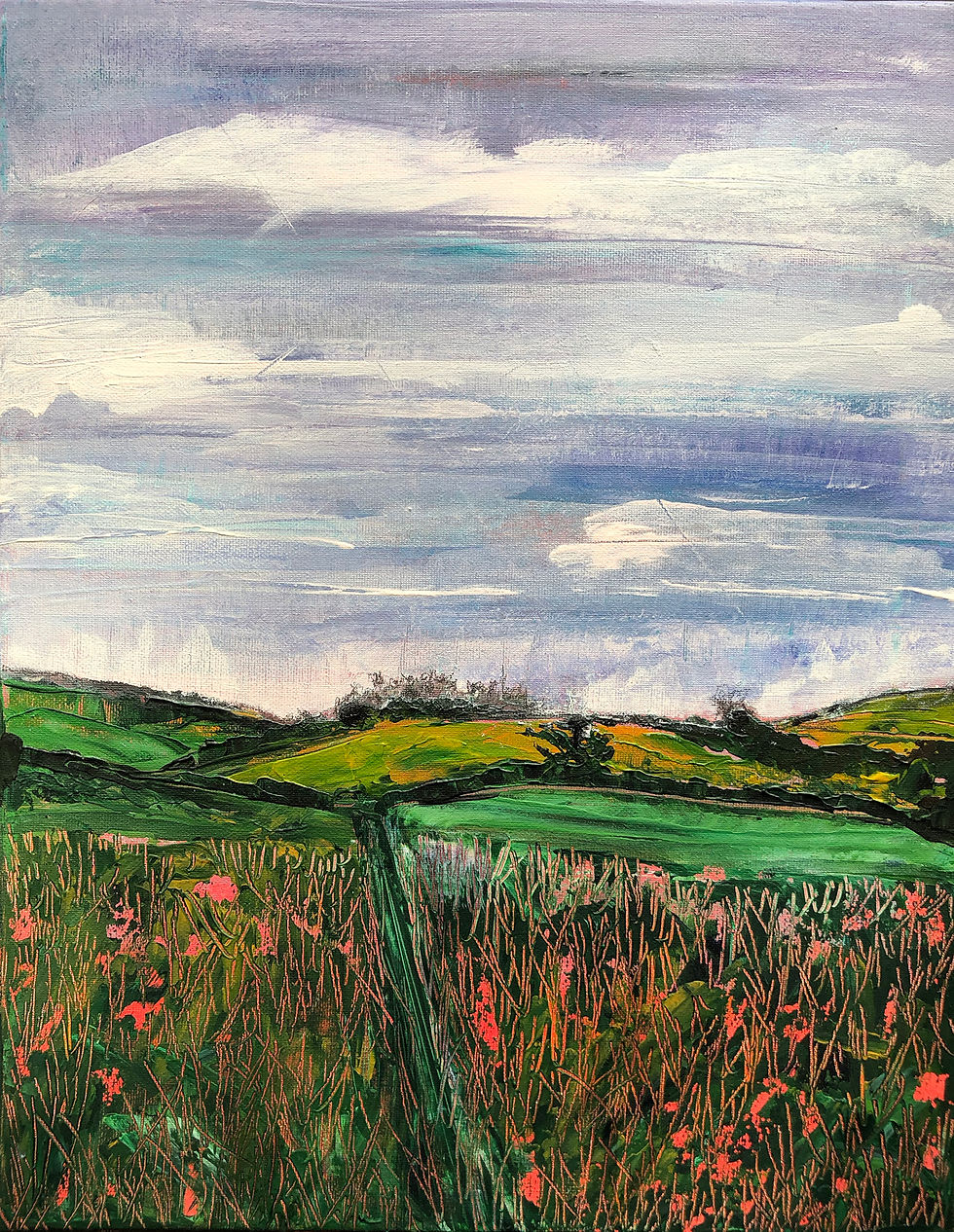 Poppy Fields at Broadchalk, Wilts by Tina Scahill