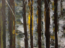 Birch trees by Tina Scahill