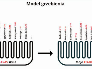 Model grzebienia, czyli dywersyfikacja umiejętności IT