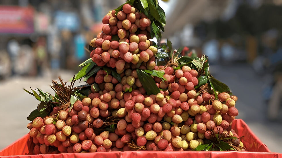 Litchi Lover