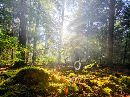 Licht und Schatten