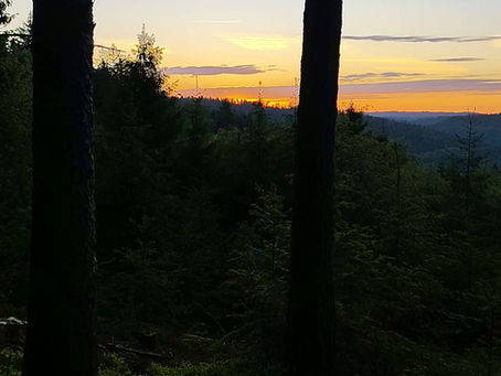 Morgengruß