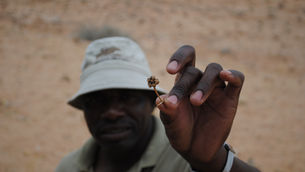 Crossland in Namibia, la Terra di nessuno.